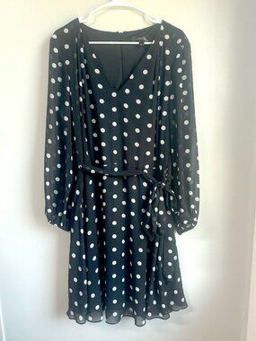 Chelsea Rose Polka Dot Sheer Sleeve Belted Dress 16